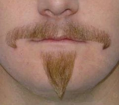 Carnival Products Reggae Moustache Brown