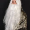 Interalia Buy Costumes Wizard Wig And Beard Set