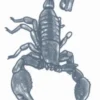 Tinsley Transfer Womens Scorpion Temporary Tattoo