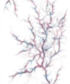 Tinsley Transfers Womens Possessed Trauma Temporary Face Tattoo