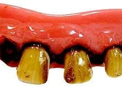 Sweidas Original Billy Bob Teeth Buy Costumes 7 Sweidas Original Billy Bob Teeth Buy Costumes