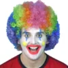 Carnival Products Clown Afro Rainbow Wig Circus Fancy Dress Accessory Womens 2 Carnival Products Clown Afro Rainbow Wig Circus Fancy Dress Accessory Womens