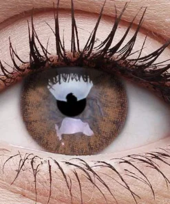 ColourVue Brown Coloured Contact Lenses Buy Costumes