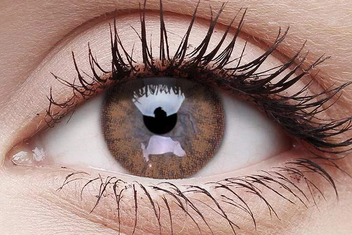 ColourVue Brown Coloured Contact Lenses Buy Costumes 3 ColourVue Brown Coloured Contact Lenses Buy Costumes