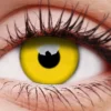ColourVue Yellow 1 YEAR Contact Lenses